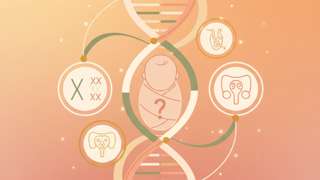 生下“男宝”竟是女孩？揭秘假两性畸形病，这3类假两性畸形病例要警惕