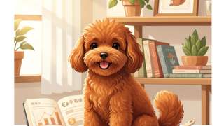 松鼠犬市场价格深度解析与科学饲养指南 - 宠物饲养封面图
